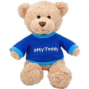 Custom logo Multi-style teddy bear plush toy